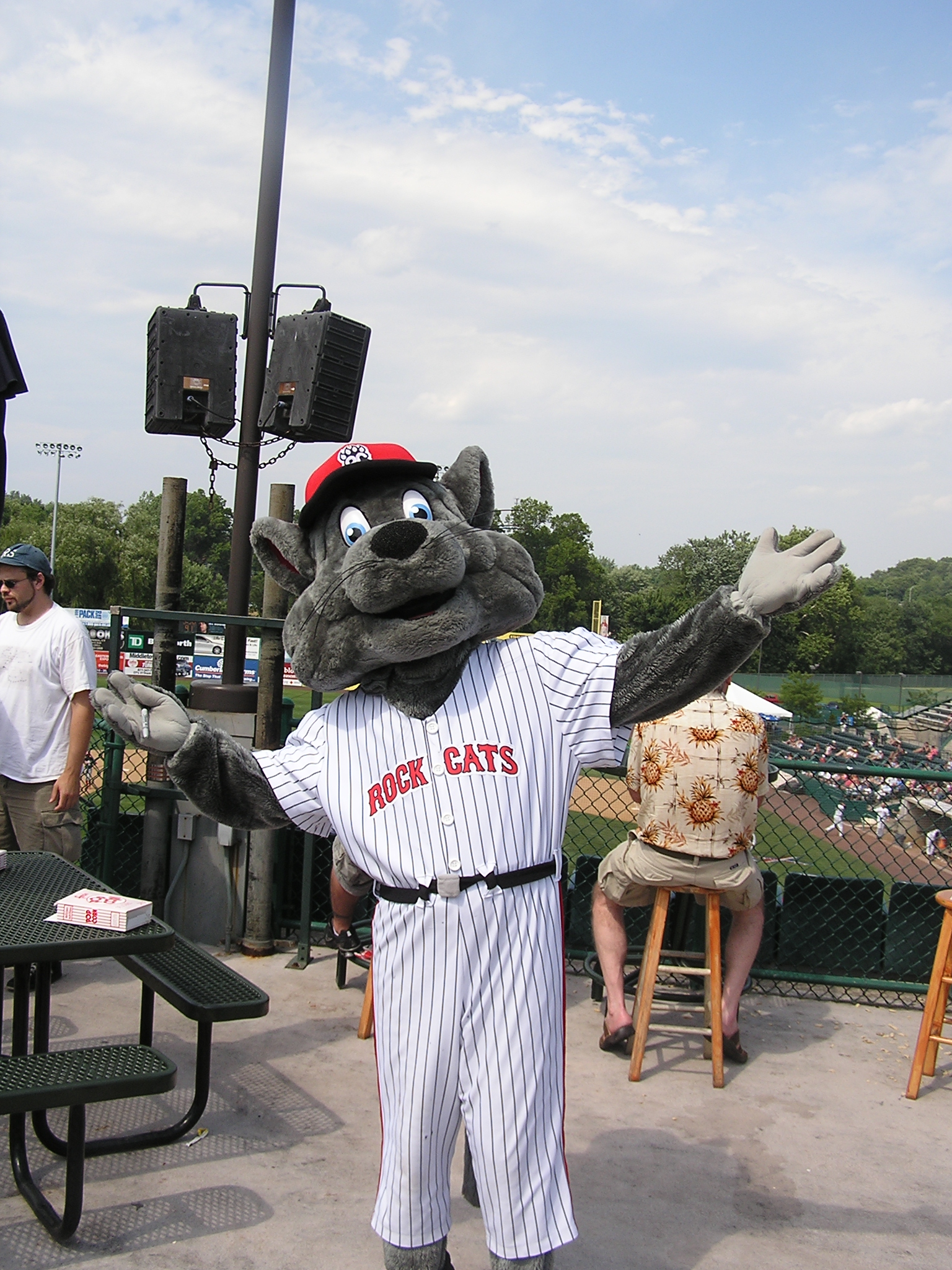 Rocky, the Rock Cats Mascot - New Britain Stadium